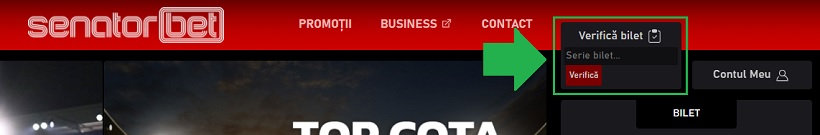Verificare Bilet Senator Bet